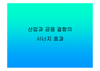 금산분리논쟁 레포트-11