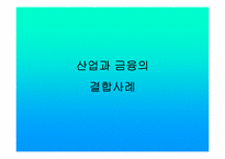 금산분리논쟁 레포트-17