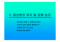 금산분리논쟁 레포트-20