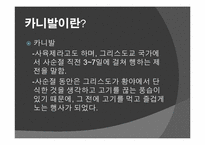 [브라질사회] 브라질 카니발-3