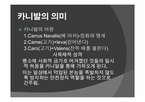 [브라질사회] 브라질 카니발-4