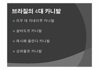 [브라질사회] 브라질 카니발-8