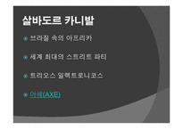[브라질사회] 브라질 카니발-13
