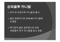 [브라질사회] 브라질 카니발-17