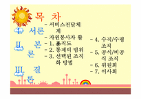한국청소년상담원(KYCI) 조직 형태 분석-2
