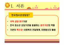 한국청소년상담원(KYCI) 조직 형태 분석-3