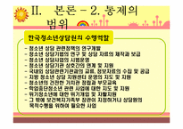 한국청소년상담원(KYCI) 조직 형태 분석-16