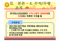 한국청소년상담원(KYCI) 조직 형태 분석-19