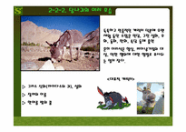 슈렉 이미지전쟁-9