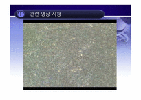 복제배아줄기세포 연구-3