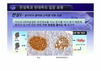 복제배아줄기세포 연구-12