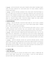 여성주의 사회복지실천(여성주의 실천 모델)-10