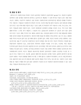 여성주의 사회복지실천(여성주의 실천 모델)-13