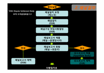 WTO 분쟁해결제도-12