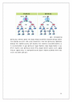 [매스컴] 한국 IPTV의 현황 및 도입과정-11
