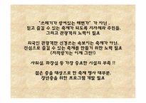 지역 축제별 국제화 마케팅 전략-14