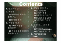폭탄 & 혈흔 레포트-2