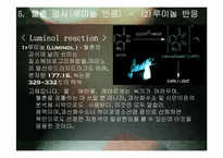 폭탄 & 혈흔 레포트-15