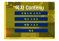 프랑스의 스포츠-2