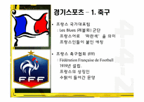 프랑스의 스포츠-4