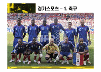 프랑스의 스포츠-5