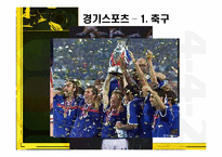 프랑스의 스포츠-6