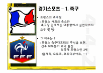 프랑스의 스포츠-8