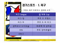 프랑스의 스포츠-10