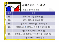 프랑스의 스포츠-11