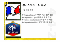 프랑스의 스포츠-12