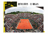 프랑스의 스포츠-16