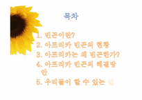 아프리카와 빈곤-2