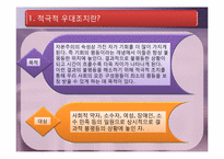 [행정철학] 적극적 우대조치의 사례-4