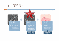 김치 발효조절을 통한 저장성 향상-4