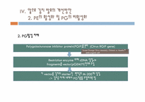 김치 발효조절을 통한 저장성 향상-14