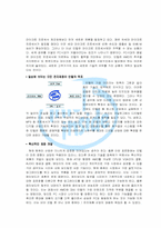 인텔 경영전략 레포트-16