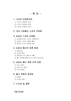 삼성의 글로벌 전략을 위한 스포츠 마케팅 -첼시 후원을 통한 영국 시장 진출-2