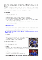 삼성의 글로벌 전략을 위한 스포츠 마케팅 -첼시 후원을 통한 영국 시장 진출-9