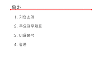 LG텔레콤 재무제표분석-2