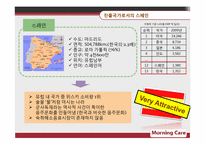 [국제마케팅] 모닝케어 스페인 진출-4