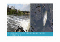 경영학도가 바라본 MB정부의 4대강 정비 사업 -찬성측 입장-9