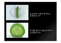 [디자인] 냉장고 광고 분석-4