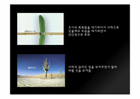 [디자인] 냉장고 광고 분석-5