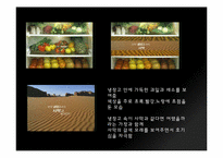 [디자인] 냉장고 광고 분석-6