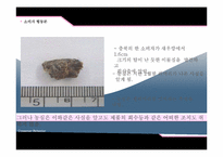 [소비자행동] 소비자권리 -농심새우깡 & 삼성 지펠 냉장고 리콜-6