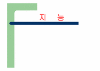 지능이론 레포트-1