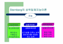 지능이론 레포트-10