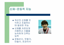 지능이론 레포트-17
