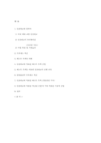 Fast-Track 공법을 통한 인천대교의 기술혁신-7