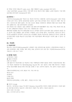 [직업] 스튜어디스(승무원)에 대해서-3
